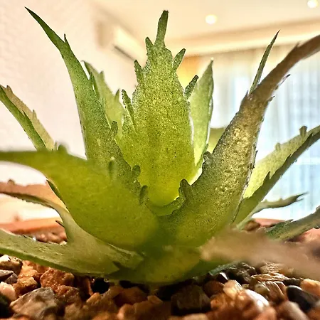 Apartment Menada Miramar Palace Slantschew brjag