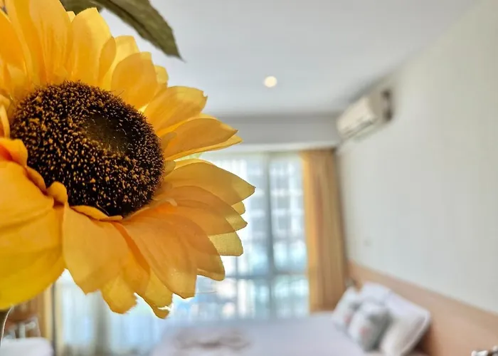 Menada Miramar Palace Διαμέρισμα *