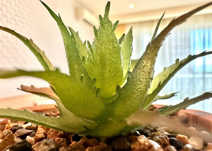 Διαμέρισμα Menada Miramar Palace Σάνι Μπιτς